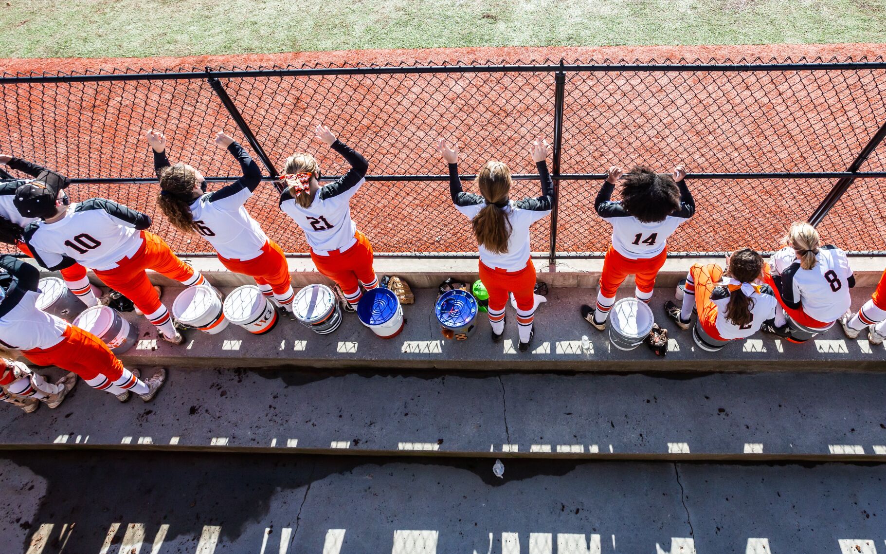 Webster Groves vs. Webb City softball